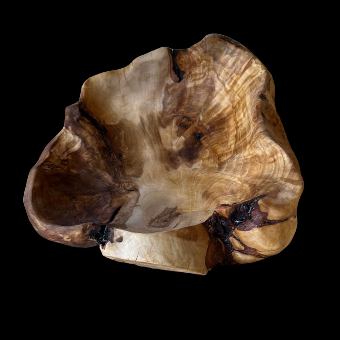 8" Birch Burl Bowl