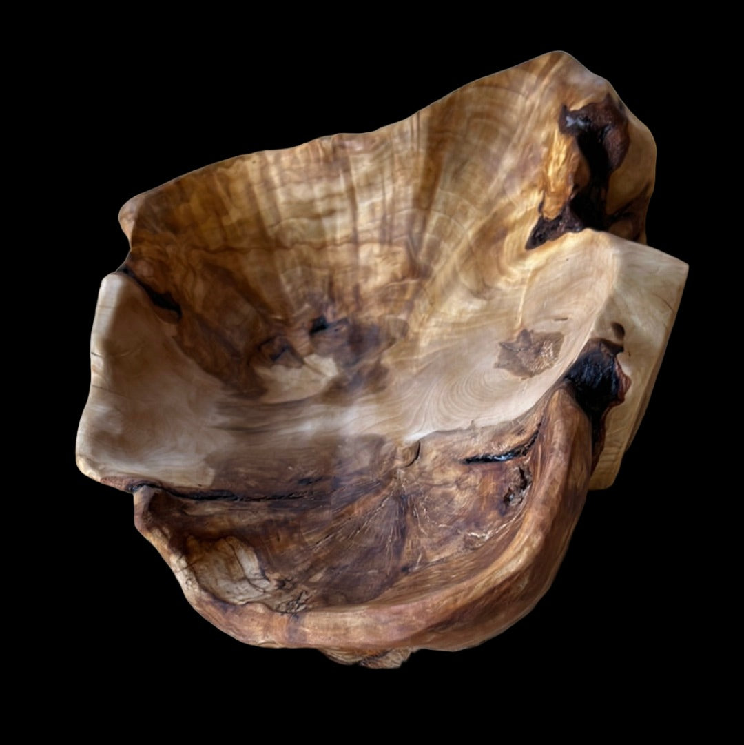 8" Birch Burl Bowl