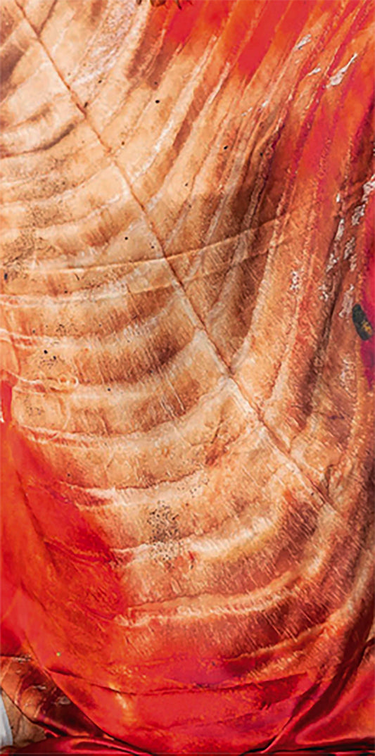 Sockeye Salmon Flesh Silk Scarf