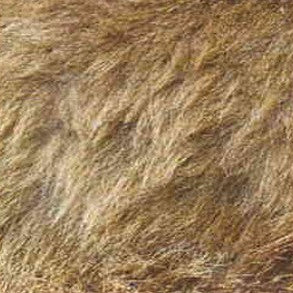 Nikiski Brown Bear Cashmere Scarf (39x79)