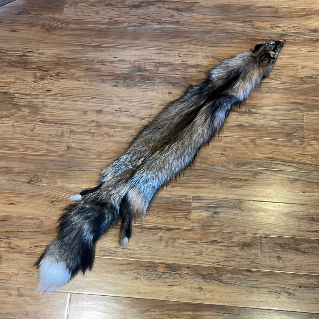 Smoky Fox, very rare (#4)