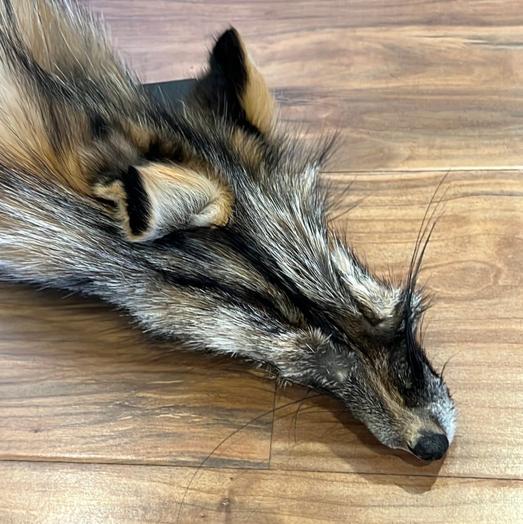 56” Smoky Fox Pelt very rare, with tail, ready to craft with.