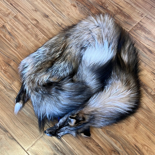 56” Smoky Fox Pelt very rare, with tail, ready to craft with.