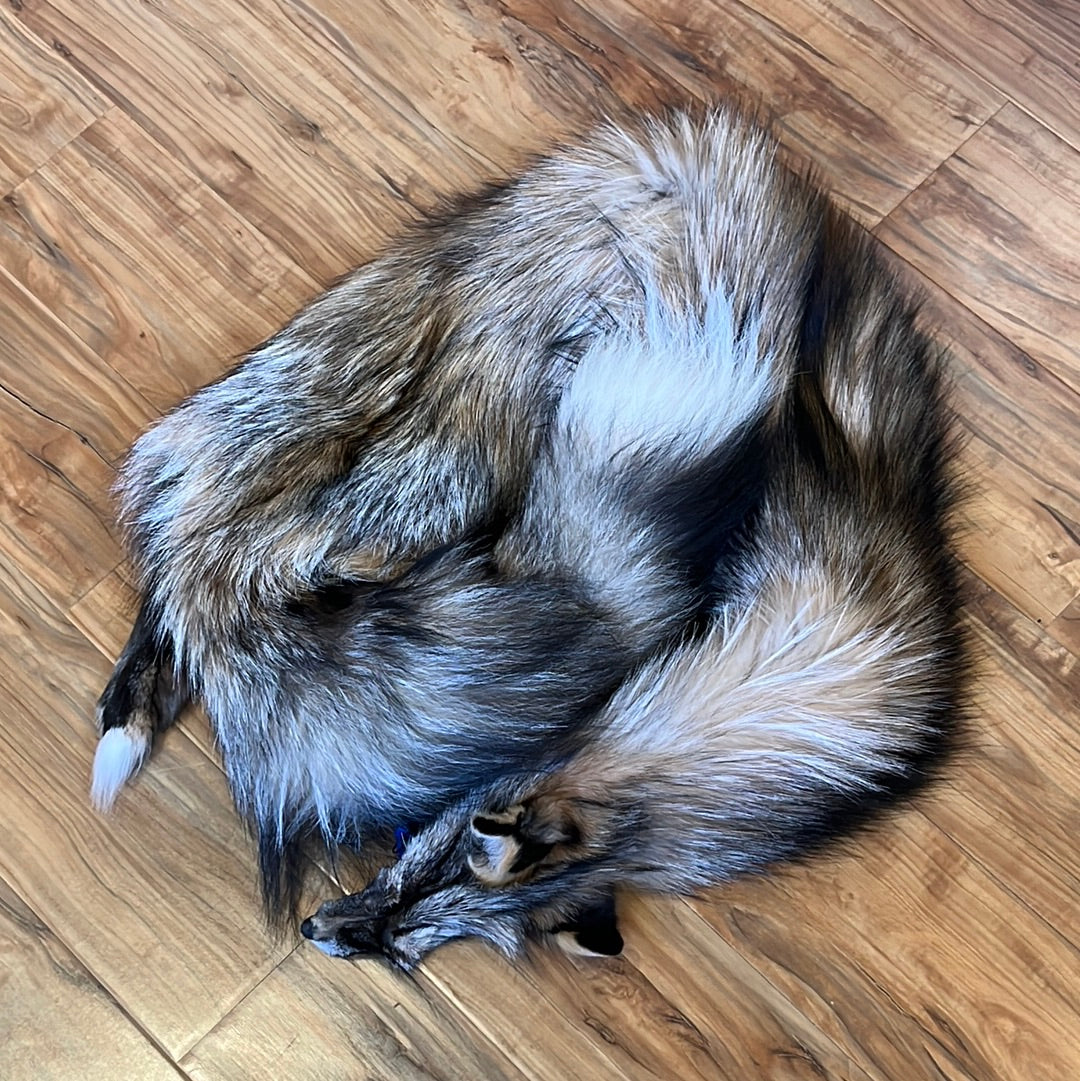 Smoky Fox, very rare (#4)